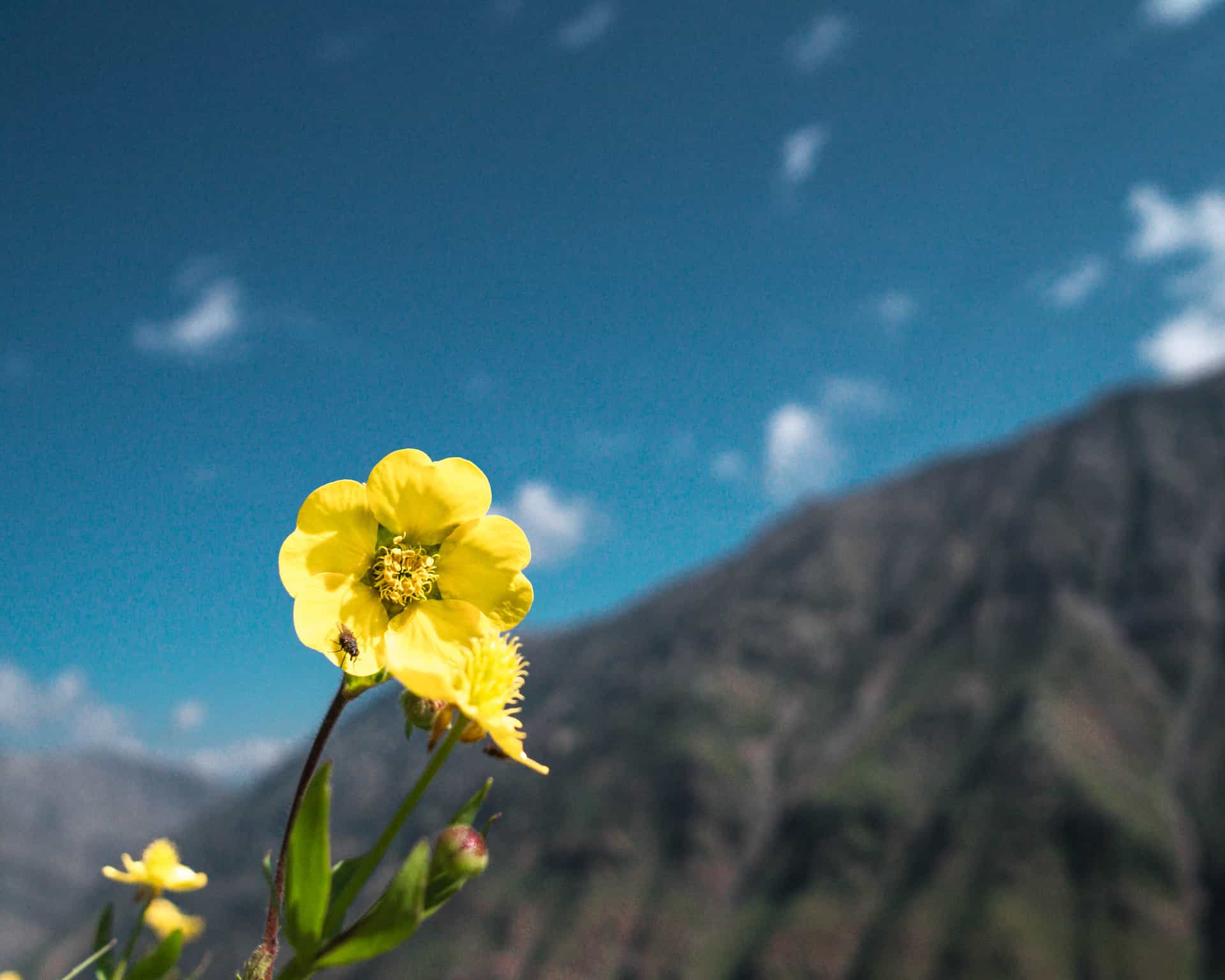 Be Environmentally Friendly by Doing These Six Things During Your Hiking Adventure Be Environmentally Friendly by Doing These Six Things During Your Hiking Adventure