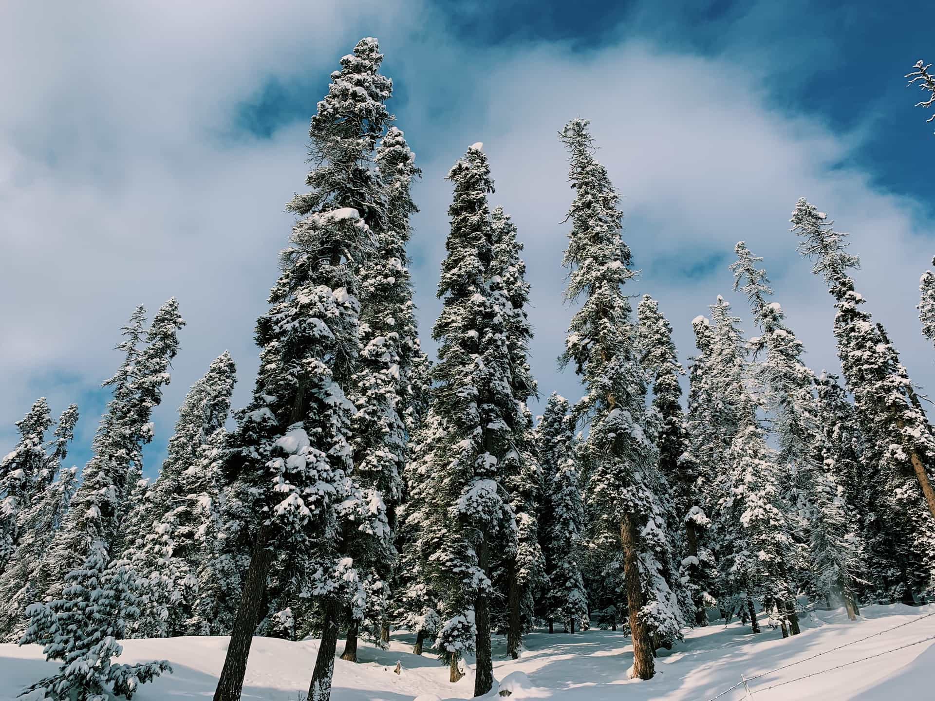 Gulmarg Beginner’s Skiing Course: What To Expect Gulmarg Beginner’s Skiing Course: What To Expect