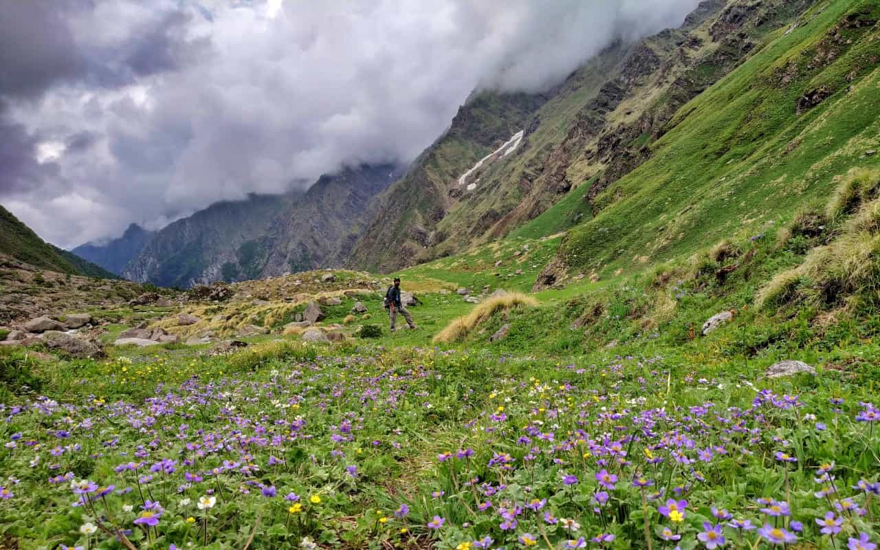 Did you know this "Trek of the Year-2019" beats Har ki Dun? Did you know this "Trek of the Year-2019" beats Har ki Dun?