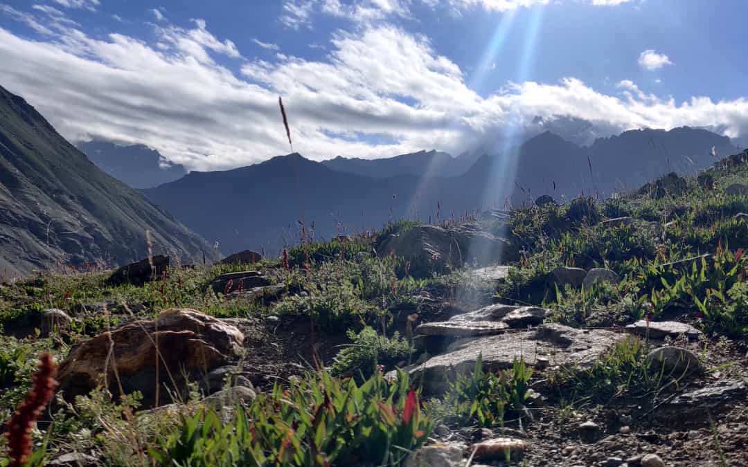 If Donkeys Can Fart Without Shame, Why Can’t We? The Story Of My Ascent To Mt. Nun If Donkeys Can Fart Without Shame, Why Can’t We? The Story Of My Ascent To Mt. Nun