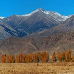 The Secret to a Better Trekking Experience The Secret to a Better Trekking Experience