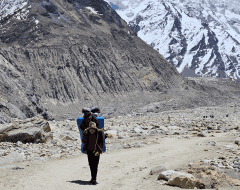 Highlights of Gaumukh Tapovan Trek Highlights of Gaumukh Tapovan Trek