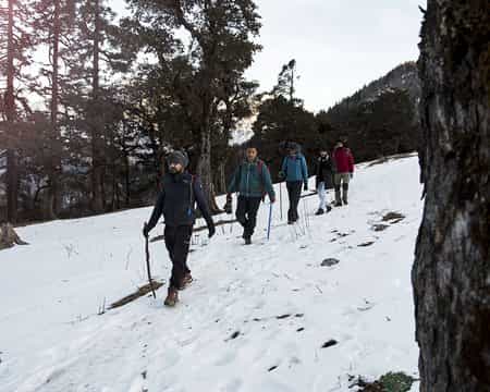 Challenges You Face On Kuari Pass As A Beginner Challenges You Face On Kuari Pass As A Beginner