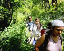 3 Days In The Wilderness -Tirthan Valley Trek 3 Days In The Wilderness -Tirthan Valley Trek