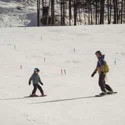Gulmarg vs Auli: Where to Learn Skiing in India (An Honest Guide for 2025) Gulmarg vs Auli: Where to Learn Skiing in India (An Honest Guide for 2025)