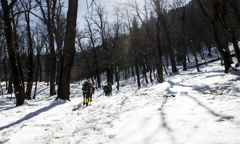 blog-image-0 blog-image-0