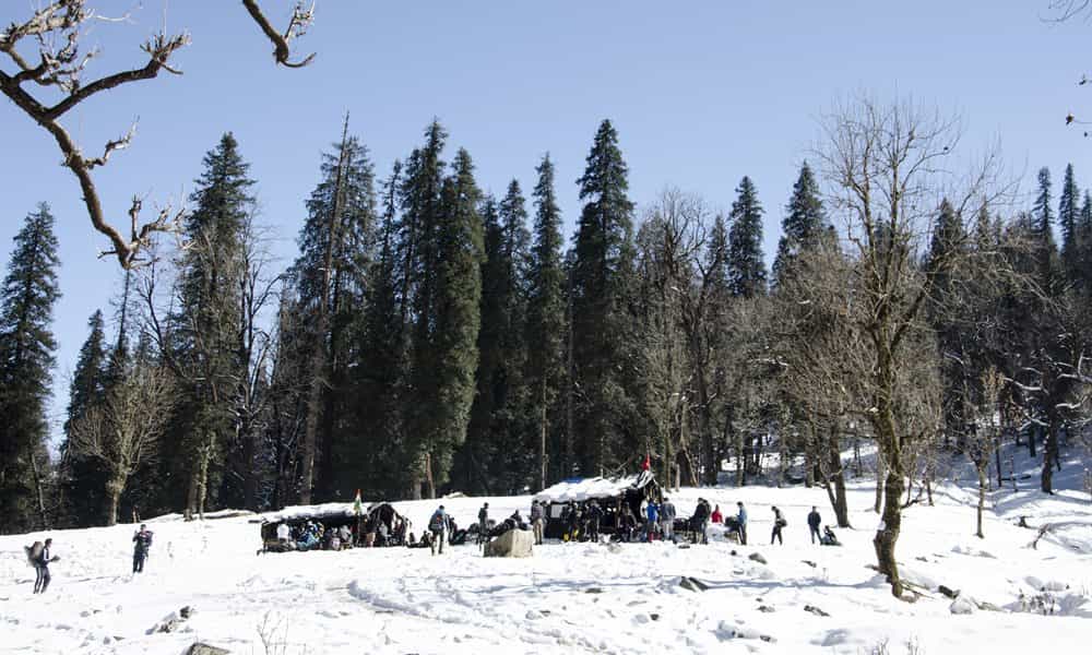 blog-image-0 blog-image-0