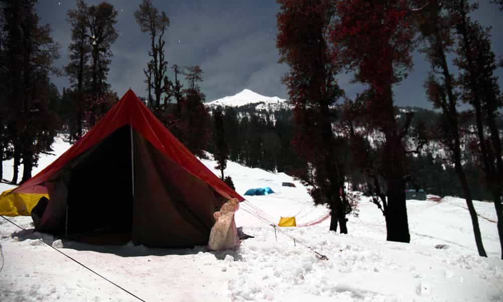 blog-image-0 blog-image-0