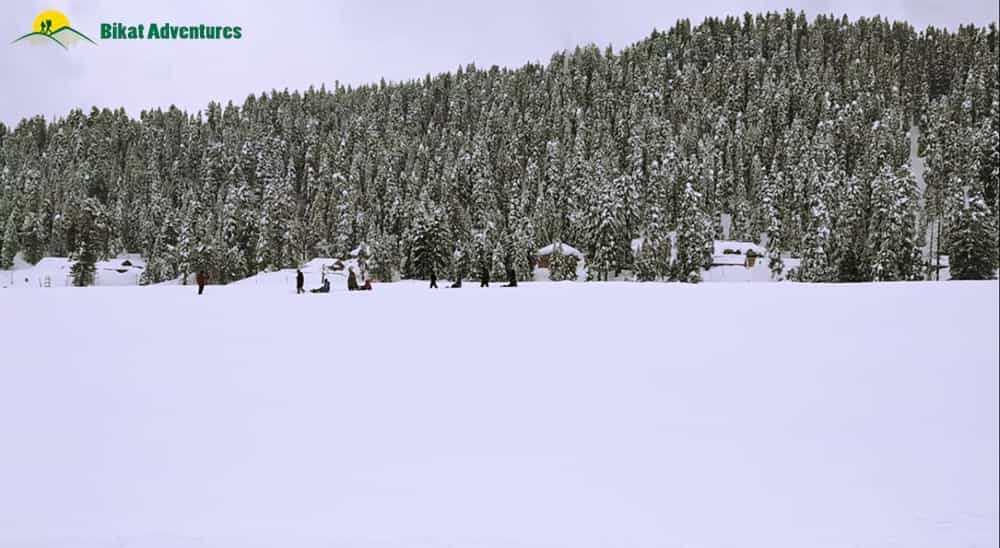 Beautiful snow covered landscape of Gulmarg Beautiful snow covered landscape of Gulmarg