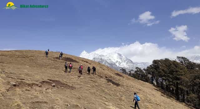 Ali Bedni Bugyal Trek Ali Bedni Bugyal Trek