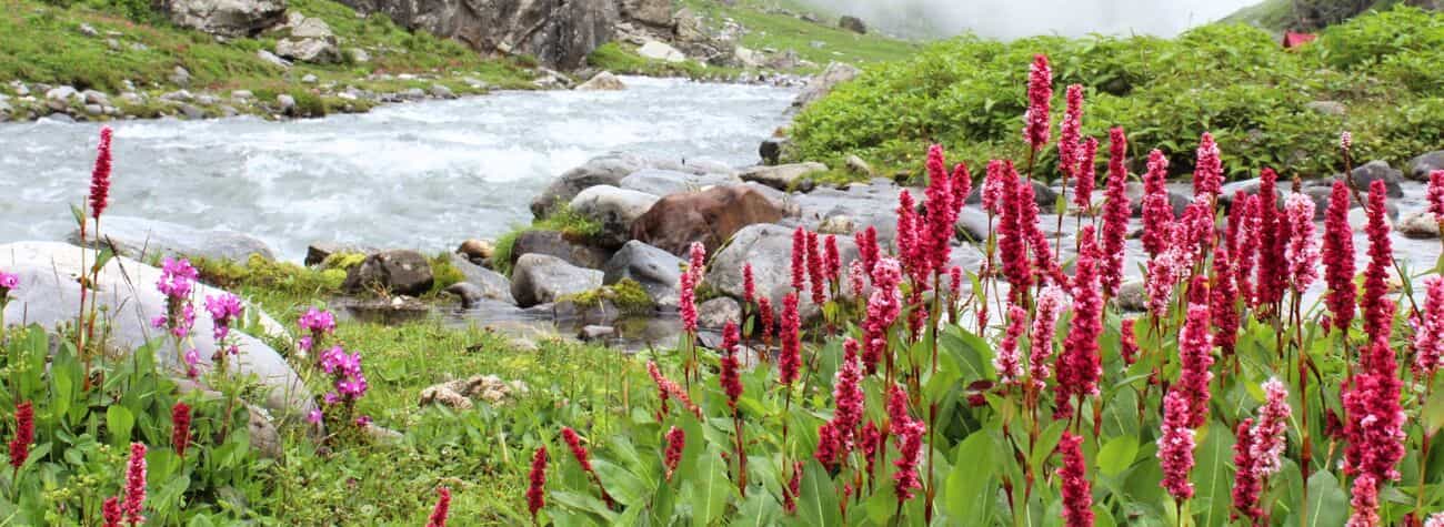An Enchanting Cross-Over from Manali to Spiti An Enchanting Cross-Over from Manali to Spiti